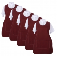 Set of 5 Pcs -  APRON CLEANING WORK UNIFORM CLINIC HOSPITAL CLEANING VETERINARY SANITATION HOSTELRY - Ref.868